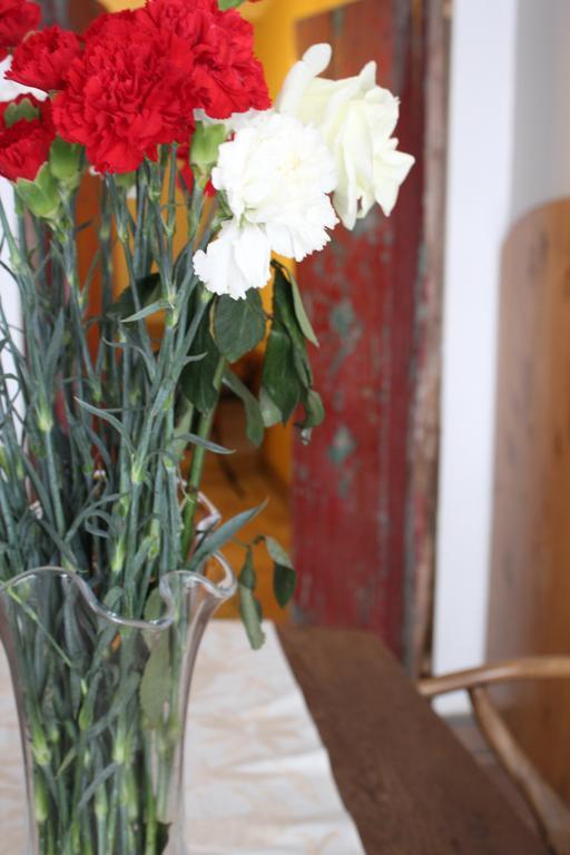 Art Residence San Angel Mexico City Ngoại thất bức ảnh