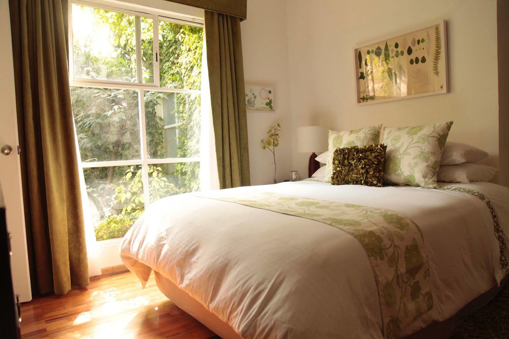 Art Residence San Angel Mexico City Ngoại thất bức ảnh